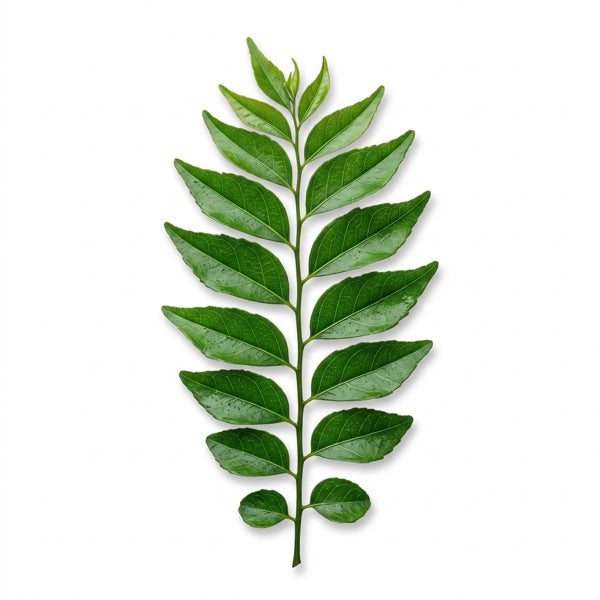 Curry leaves