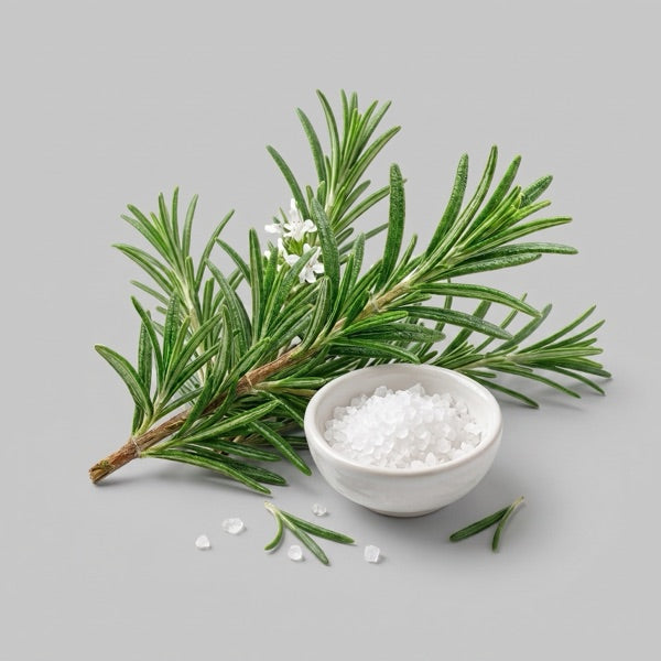 Rosemary leaves